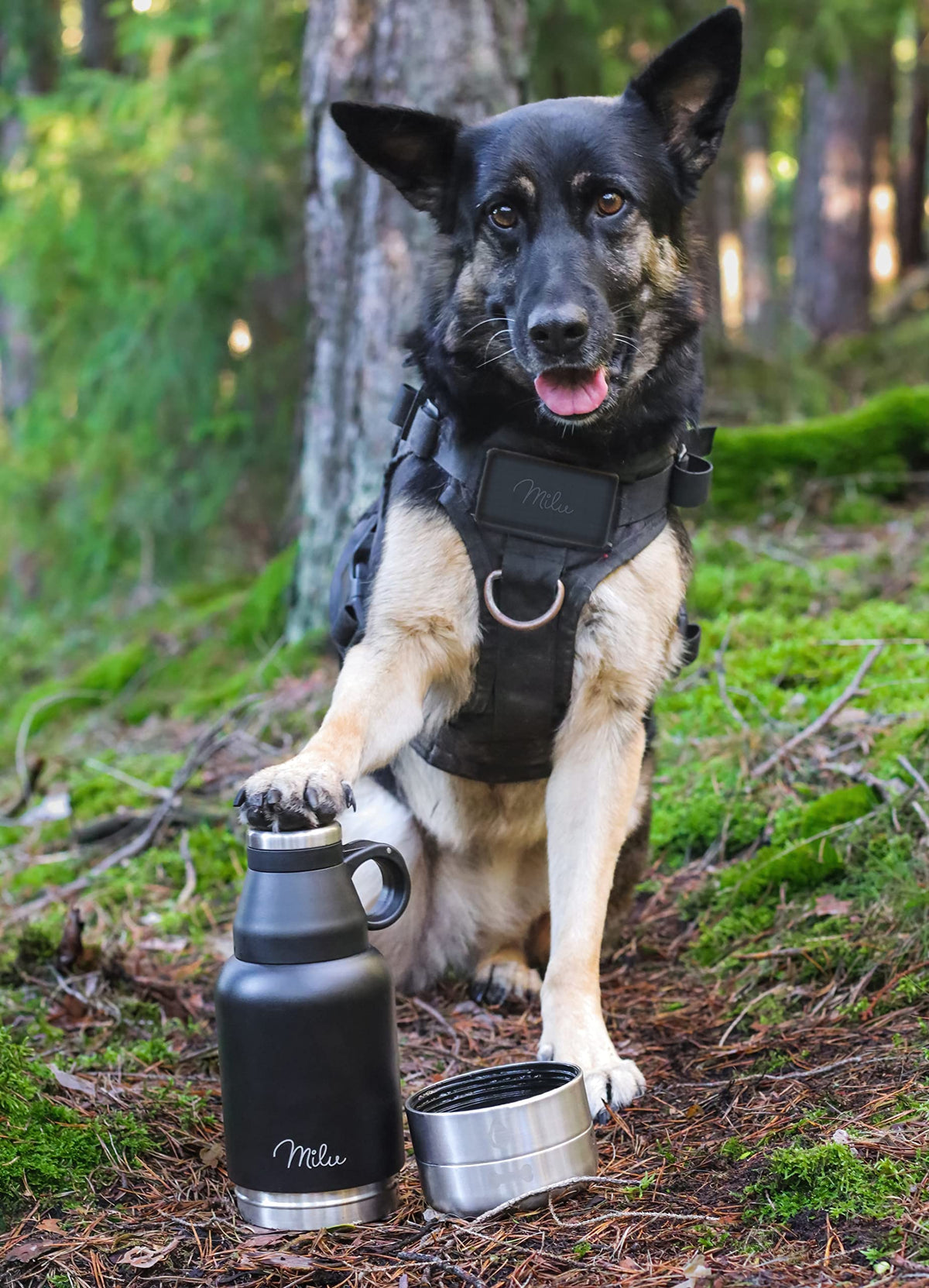 Hundetrinkflasche 950ml personalisiert