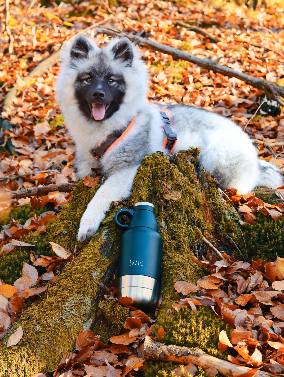 Hundetrinkflasche 950ml personalisiert