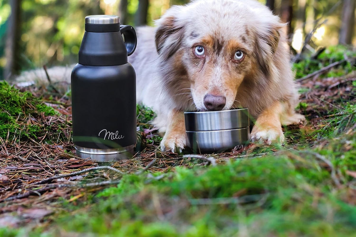 Hundetrinkflasche 950ml personalisiert