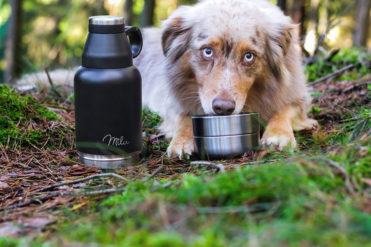Milu Trinkflasche Hunde für Unterwegs 950ml